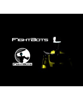 FightBots Steam Key GLOBAL